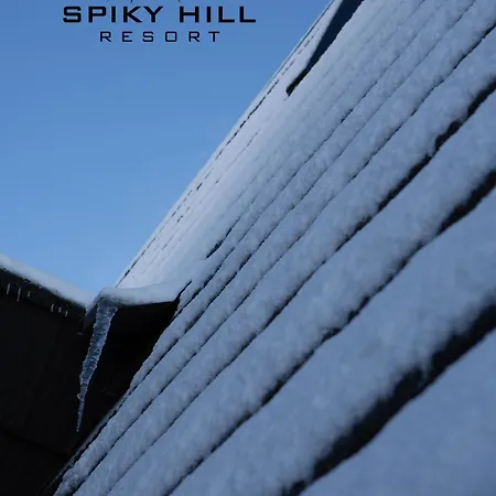 Apartamento Spiky Hill Kopaonik